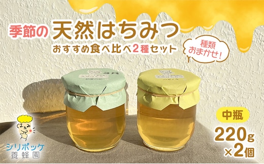 種類おまかせ！季節の天然はちみつ おすすめ食べ比べ2種セット（中瓶220g×2個）ハチミツ 蜂蜜 セット 島田市 静岡県