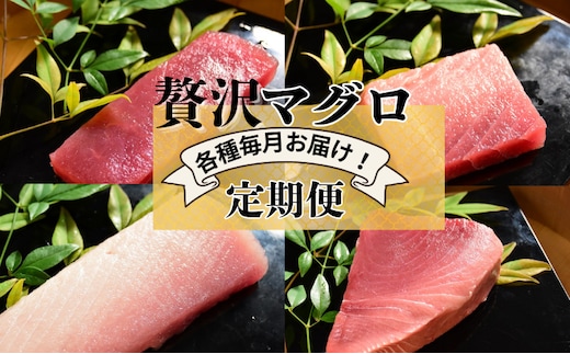 【計4回お届け】贅沢マグロ定期便【冷凍】メバチマグロ上赤身・中とろ・ビンチョウマグロ脂柵・天然ミナミマグロ上赤身脂