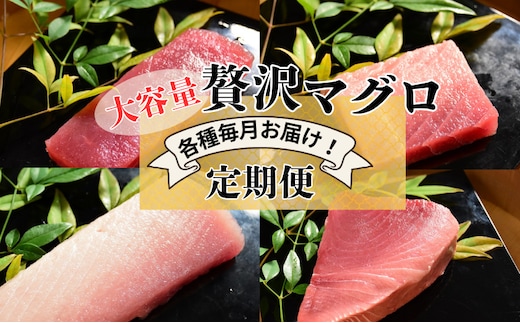 【計4回お届け】贅沢マグロ定期便【冷凍】メバチマグロ上赤身6柵・中とろ4柵・ビンチョウマグロ脂柵6柵・天然ミナミマグロ上赤身脂450g×2