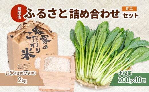 小松菜 お米(きぬむすめ) 詰め合わせ セット2 野菜 やさい こまつな 旬 国産 米 こめ コメ 産地直送 詰合せ 静岡県 島田市