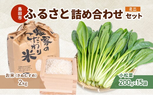小松菜 お米(きぬむすめ) 詰め合わせ セット3 野菜 やさい こまつな 旬 国産 米 こめ コメ 産地直送 詰合せ 静岡県 島田市