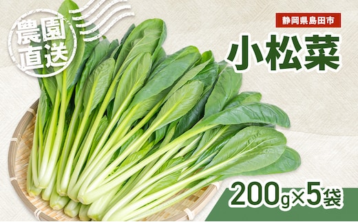 静岡県島田市産 小松菜200g×5袋 野菜 やさい こまつな 旬 国産 産地直送 詰合せ 静岡県 島田市