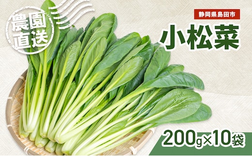 静岡県島田市産 小松菜200g×10袋 野菜 やさい こまつな 旬 国産 産地直送 詰合せ 静岡県 島田市