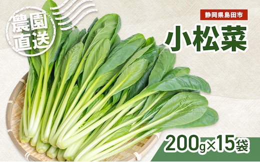 静岡県島田市産 小松菜200g×15袋 野菜 やさい こまつな 旬 国産 産地直送 詰合せ 静岡県 島田市