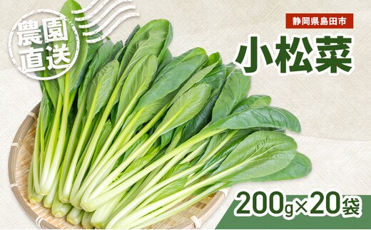 静岡県島田市産 小松菜200g×20袋 野菜 やさい こまつな 旬 国産 産地直送 詰合せ 静岡県 島田市