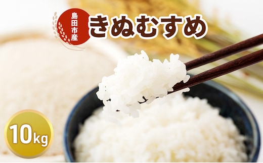お米 10kg（きぬむすめ） 米 コメ 精米 白米 ご飯 静岡県 島田市 ※配送不可:北海道、沖縄、離島