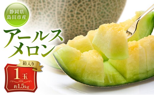 メロン 7月納品 静岡県産 アールスメロン 箱入り 1玉(約1.5kg) 果物 くだもの 果実 養液栽培 ポット 希少 甘み 島田市 静岡県