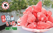 いちご 冷凍 静岡 ありすふぁーむ 渡瀬の「きらぴ香」完熟冷凍いちご 約2kg 苺 イチゴ 【島田市】