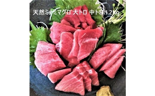a33-005 天然ミナミマグロ 大トロ 中トロ 詰合せ約1.2kg