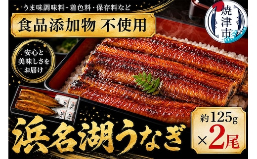 a15-609 浜名湖うなぎ蒲焼2尾