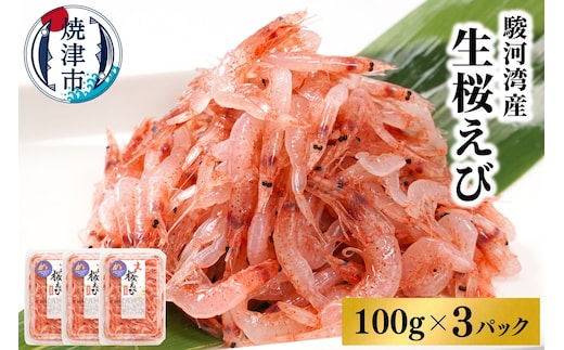 a10-679 焼津特選 生桜えび100g×3