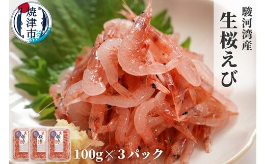 a10-679 焼津特選 生桜えび100g×3