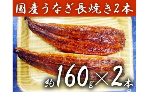 a15-034 カネト平田 うなぎ長焼き2本セット約160g×2