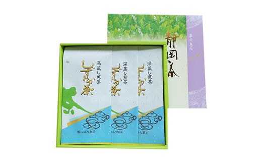 a10-024 深むし静岡茶 100g×3本箱入