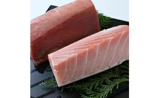 a15-197 静岡県漁連 天然みなみまぐろ中トロ付柵 2柵コース