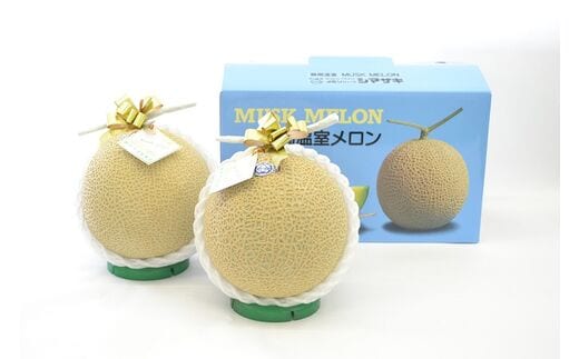 a20-205 静岡マスクメロン【2玉】（白）