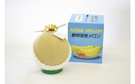 a20-206 静岡マスクメロン【1玉】（山等級）