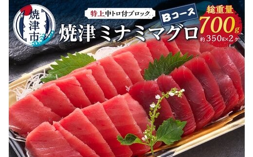 a24-038 焼津ミナミマグロBコース
