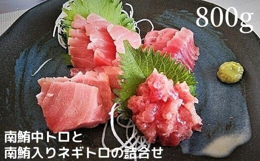 a20-313 天然 南鮪 中トロ と ネギトロ の 詰合せ 約800g入