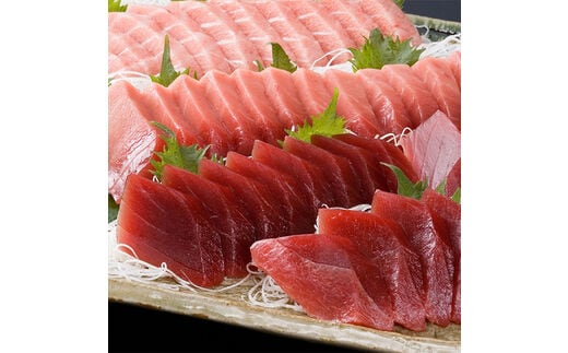 a20-239 焼津港水揚げ ・南まぐろ中トロ付きセット1