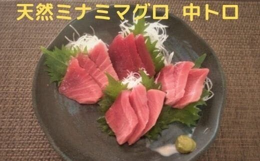 a20-285 天然 南 鮪 （マグロ） 中トロ 600g 入り セット