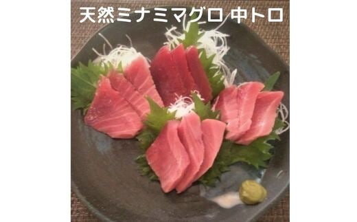 a25-020 天然 南 鮪 （マグロ） 中トロ 800g 入り セット