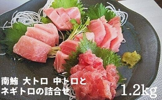 a30-228 天然南鮪 大トロ,中トロとネギトロの詰合せ 約1,2kg入り