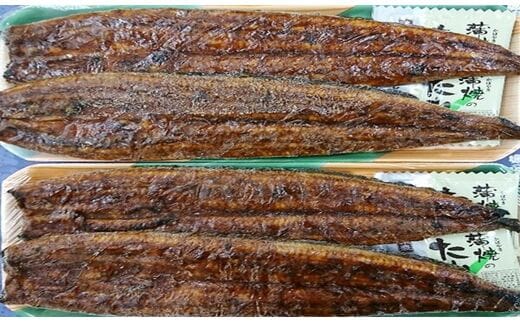 a30-182 カネト平田うなぎ長焼き4本セット約160g×4