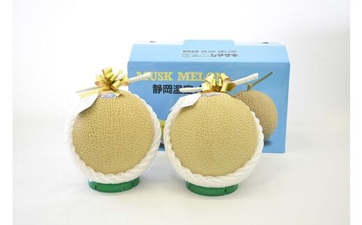a40-069 静岡マスクメロン【2玉】（山等級）