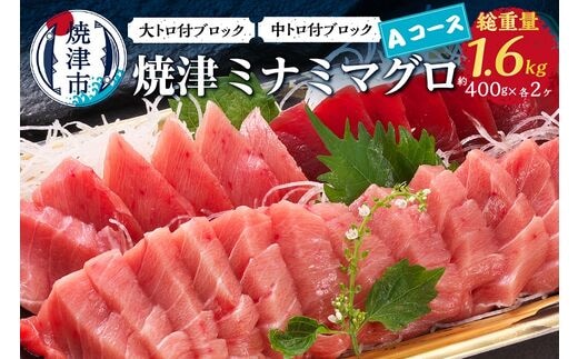 ふるさと納税 焼津市 焼津ミナミマグロAコース(a60-018) - www