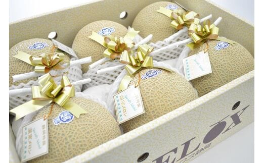 b100-031 静岡マスクメロン【6玉】（山等級）