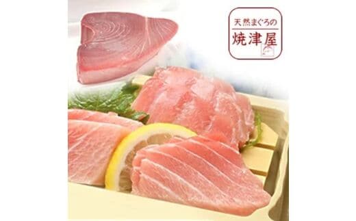 b150-026 【定期便】 南鮪 ミナミマグロ 大トロ 中トロ ブロック×3回