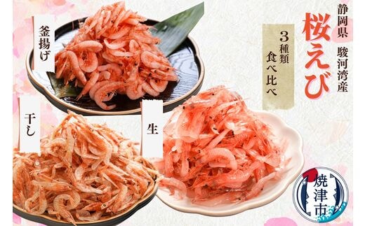 b100-049 【定期便3回お届け】焼津特選桜えび3種類食べ比べ