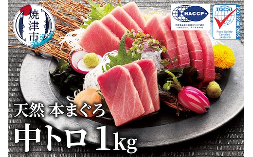 a23-028 マグロ 中トロ 訳あり 刺身 冷凍 炙り 寿司 丼 ぶつ切り まぐろ専門店 天然 本まぐろ中トロ 1kg