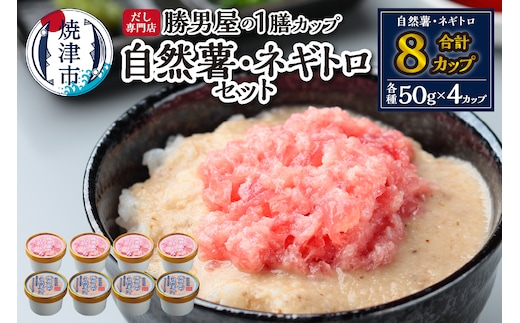 a12-224 だし専門店「勝男屋」の一膳とろトロ 自然薯・ネギトロセット