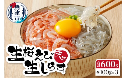 a14-038 お刺身・生桜えび、生しらす・各3