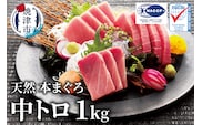 a23-028　マグロ 中トロ 訳あり 刺身 冷凍 炙り 寿司 丼 ぶつ切り まぐろ専門店 天然 本まぐろ中トロ 1kg