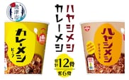 a13-101　日清カレーメシとハヤシメシ