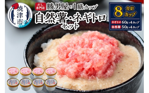 a12-224 だし専門店「勝男屋」の一膳とろトロ 自然薯・ネギトロセット