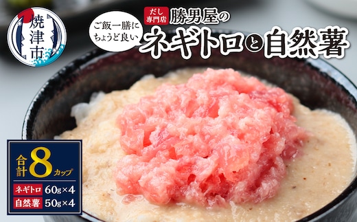 a12-224 だし専門店「勝男屋」の一膳とろトロ 自然薯・ネギトロセット