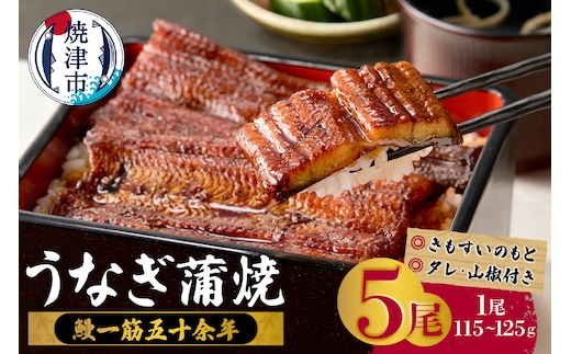 a48-010 鰻蒲焼真空パック〈5人前〉（1人前 115ｇ～125ｇ）