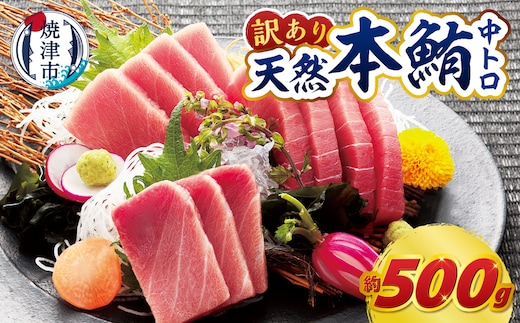 a14-150 訳あり 本マグロ 天然 中トロ 500g