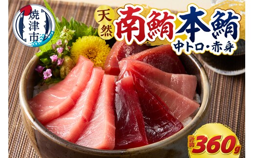 a15-708 マグロ 本マグロ 南マグロ 天然 中トロ 赤身 食べ比べ 柵 贅沢 360g