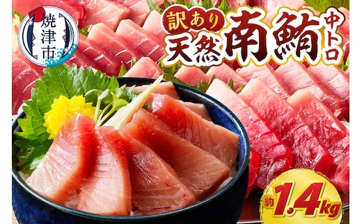 a19-060 訳あり ミナミマグロ まぐろ マグロ 鮪 刺身 中トロ 天然 切り落とし 約1.4kg