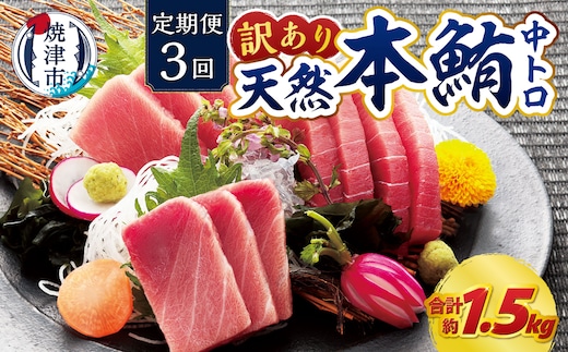 a42-018 訳あり 本マグロ 天然 中トロ 500g【定期便3回】