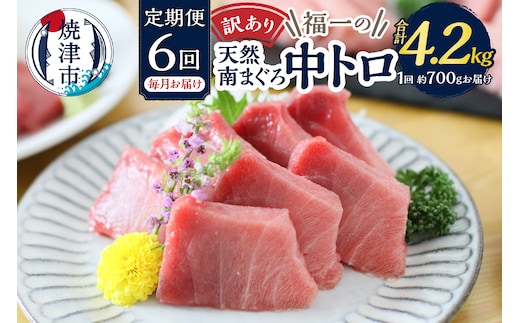 b108-001 訳あり【定期便 6回】南鮪・刺身・中トロ(約700g)
