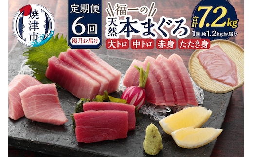 b300-016 定期便 天然本まぐろ 6回隔月でお届け