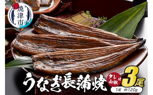 a30-157 静岡産うなぎ長蒲焼「静生旅鰻」 3尾 UNR123