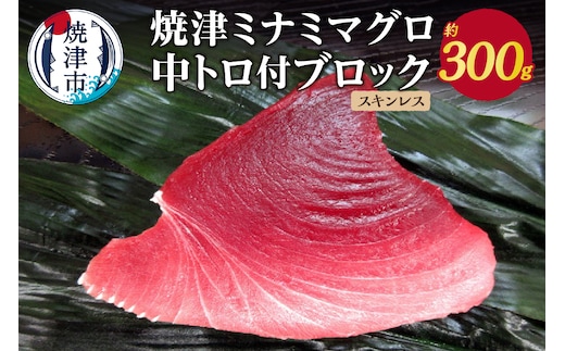 a11-049 焼津ミナミマグロ中トロ付ブロック（スキンレス）