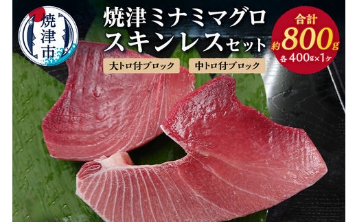 a31-011 焼津ミナミマグロスキンレスセット